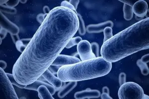 Probiotiques : ces bactéries qui vous veulent du bien !